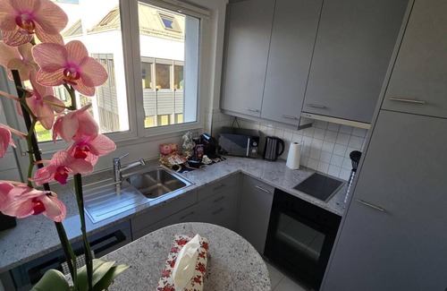 District 8 Apartment | Spacious Duplex apartment with fantastic lake view just 5 minutes from Zurich