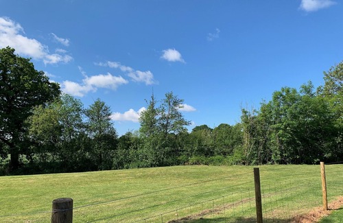 Lydney Apartment | Spacious Eco, Pet Friendly Apartments, Forest of Dean, Wye Valley