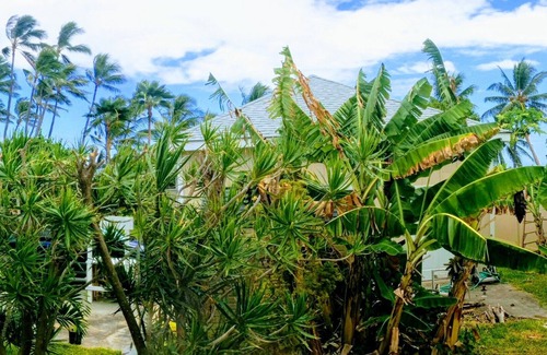 Ewa House | Spacious Ewa Beach Guesthouse On Beachfront Lot 30-day minimum.