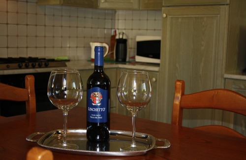 Lucca House | Spacious family vacation home with rooftop pool, 5 minutes from downtown