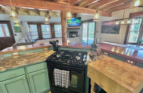 Brevard Cabin | Spacious, fun cabin-perfect for family & MTB group