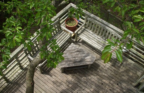 Davis Park House | Spacious Fun House Available August 2026