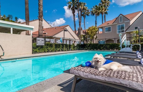 Downtown Village House | Spacious Good-Value Accommodation w/ Full Kitchen! Outdoor Pool & Pets Allowed!