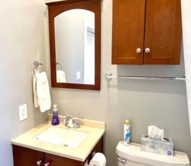 Lakeview Apartment | Spacious Historic Apartments In Lakeview Chicago - Walk to Wrigley, Nightlife, Shops, Hospitals