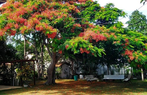 Ipitanga House | Spacious house to gather family and friends, beach, barbecue, pool and green area