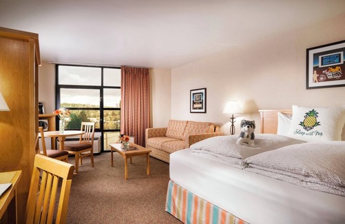 University District House | Spacious King Suite, Tropical Welcome, Staypineapple, Easy UW Access
