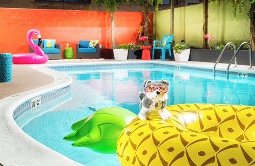 University District House | Spacious King Suite, Tropical Welcome, Staypineapple, Easy UW Access