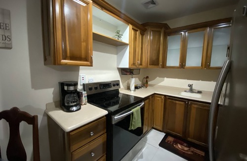 Saint Andrew Apartment | Spacious Kingston Business district Executive Condo