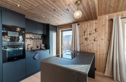 Krodsherad House | Spacious lodge with sauna, ski centre