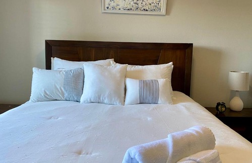 South Main Apartment | Spacious Loft Apartment Med Center, NRG Stadium
