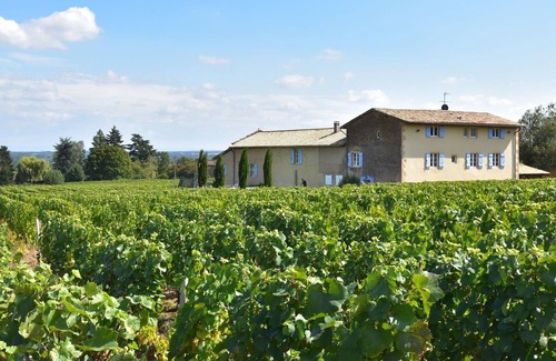 Chaintre Villa | Spacious Mansion in Vinzelles with Swimming Pool
