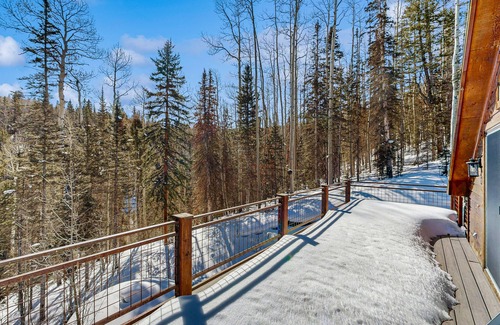 Telluride House | Spacious mountain getaway with large deck and amazing views