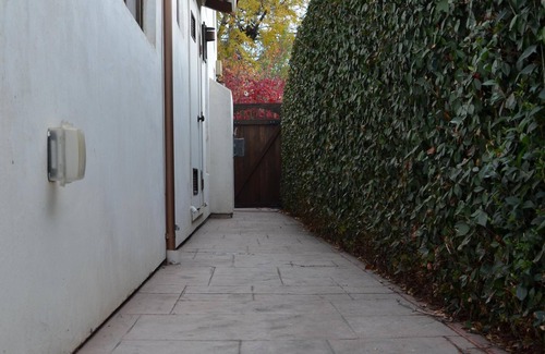 Mountain View Apartment | Spacious Mountain View 1B/1B In-law Suite