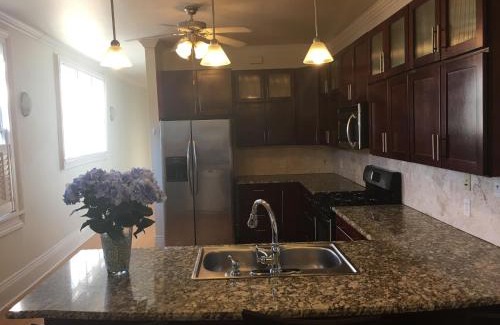 Broadmoor Apartment | Spacious Napoleon Ave Mardi Gras Apartment