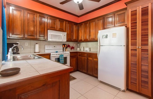 San Pedro Condo | Spacious One Bedroom, Ocean View Condo - Gold Standard Approved