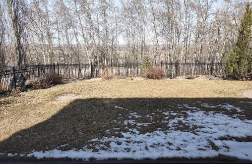 Calgary Apartment | Spacious One Bedroom Walkout Basement Suite