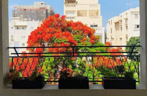 Rehovot House | Spacious Penthouse Near the Weizmann institute and Sience park