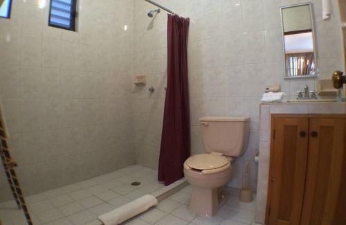 Ixtapa - Zihuatanejo House | Spacious room in family guesthouse walking distance to La Ropa beach