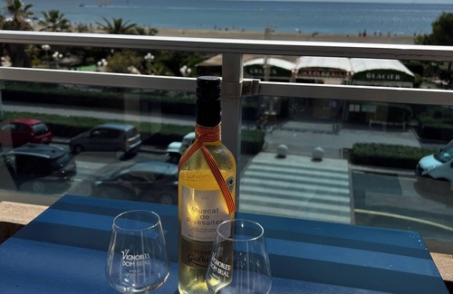 Le Grand Large Apartment | Spacious seafront apartment, Clim, splendid view, secure parking.
