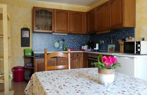Mainberg Apartment | Spacious vacation apartment directly below Mainberg Castle