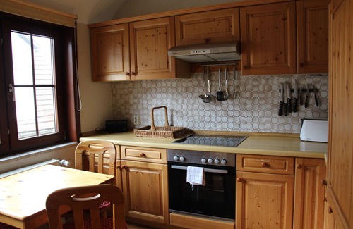 Steinbach-Hallenberg Apartment | Spacious vacation apartment in the middle of the Thüringen forest
