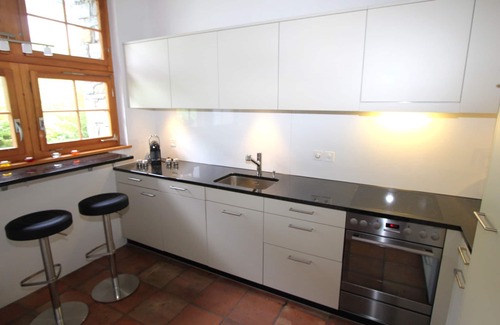 Minusio House | Spacious, very well-kept property with swimming pool and beautiful gardens