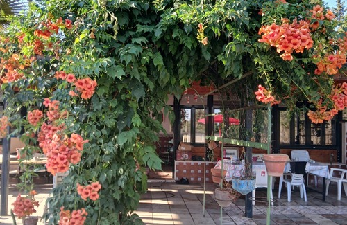 Bellavista Villa | Spacious villa, private pool in huge grounds, orange trees, outskirts of Sevilla