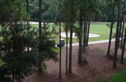 St. Augustine House | Spacious with golf and wildlife views 1233-4