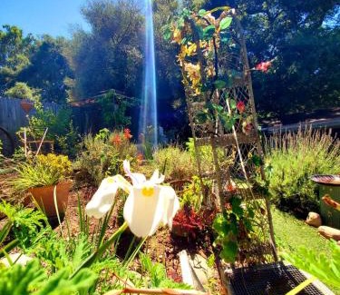 Fernwood House | Sparkling Gem Set Between Mountain and Ocean