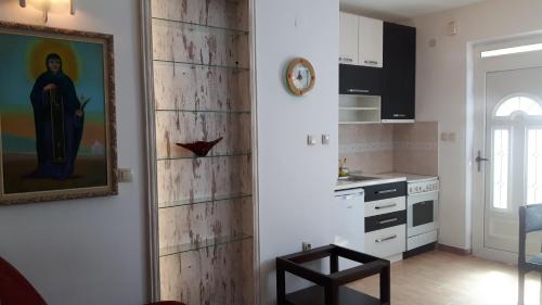 Topla Apartment | Spasic Apartment