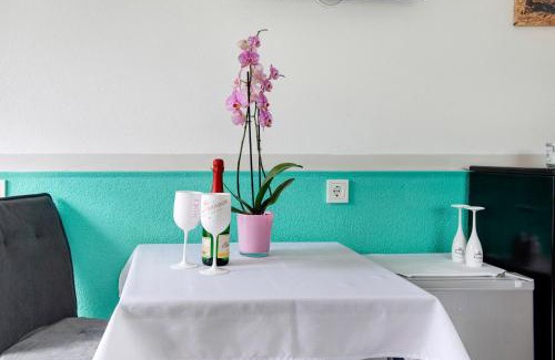 Pfullendorf Apartment | Spawo mit Sauna und Whirpool