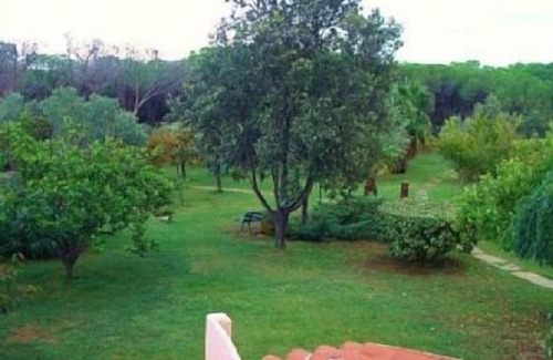 Matta 'e Peru House | SPECIAL HOLIDAYS IN SARDINIA