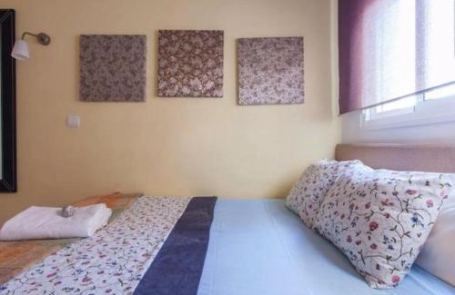 San Roque Apartment | Spectacular central Penthouse with private terrace