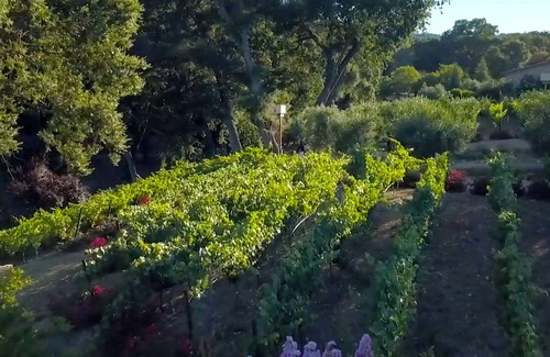 Atascadero House | Spectacular Home and Vineyard Westside Paso Robles Wine Country