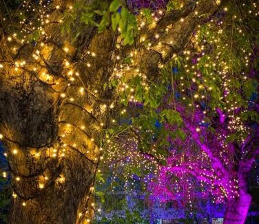 Cullen Bay Apartment | Spectacular Marina Views Apartment