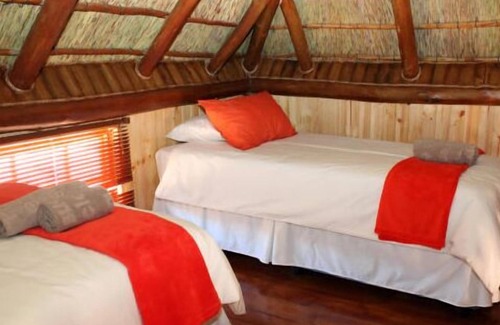 Springbok Cabin | Sperrgebiet Lodge