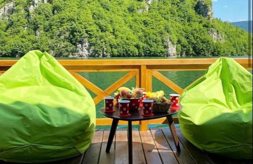 Bajina Basta Boat Rental | Splav Omorika