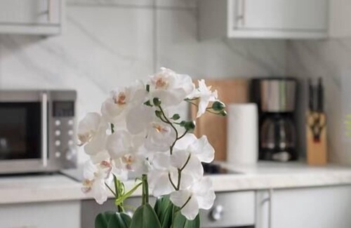 Tottenham Apartment | Splendid and Comfy 1 bedroom apartment