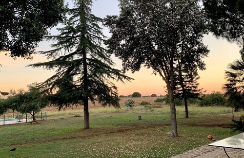 Mairena del Alcor House | SPLENDID COUNTRY HOUSE