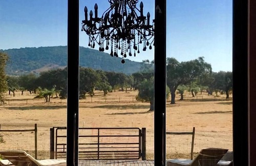 Viana do Alentejo Villa | Splendid oasis in the heart of Alentejo "THE BARN"