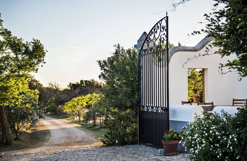 Viana do Alentejo Villa | Splendid oasis in the heart of Alentejo "THE BARN"