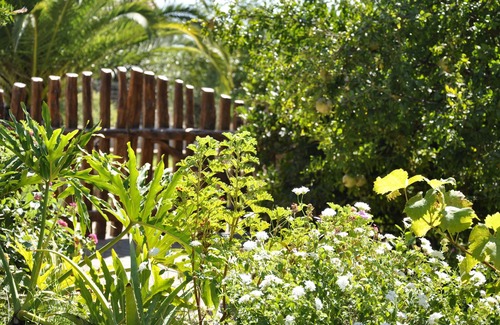Matta 'e Peru Villa | Splendid Villa a stone's throw from the sea, Sardinia LAST MINUTE