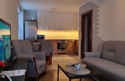 Ostrow Wielkopolski Apartment | Spokojny Wypoczynek 4