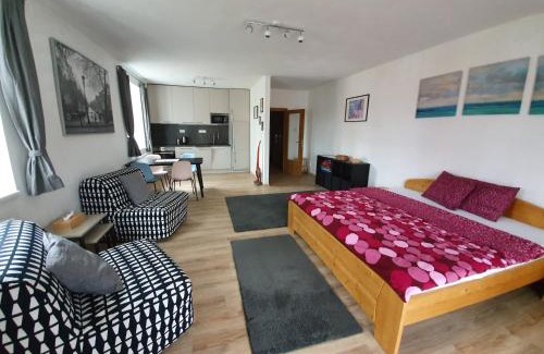 Lipno nad Vltavou Apartment | Sport Apartment