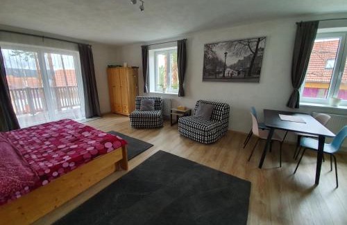 Lipno nad Vltavou Apartment | Sport Apartment