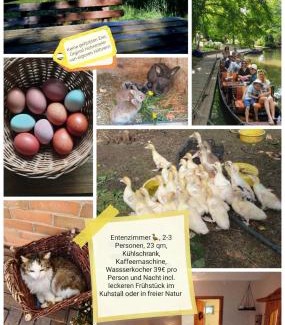 Raddusch House | Spreewaldpension Beesk