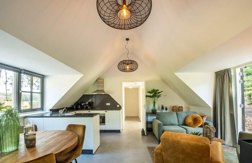 Krachtighuizen Villa | Sprielderbosch 31 Holiday park in the woody Veluwe region