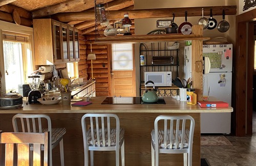 Mount Holly Cabin | SPRING IN THE GREEN MOUNTAINS/PET FRIENDLY-WOOF