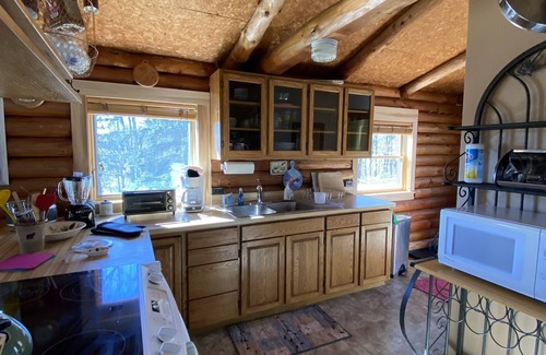 Mount Holly Cabin | SPRING IN THE GREEN MOUNTAINS/PET FRIENDLY-WOOF