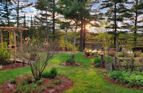 Dwight Resort | Spring Lake Resort
